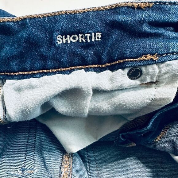 American Eagle Super Stretch Dark Wash Shortie Denim Shorts - Picture 4 of 8